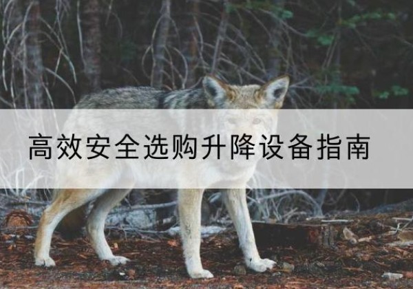 云安升降货梯厂家推荐-*安全选购升降设备指南