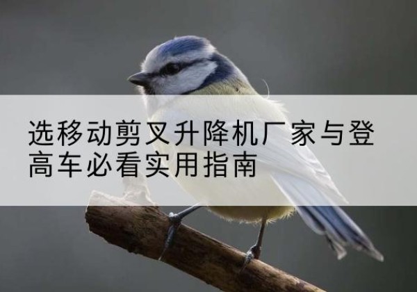 云安电动升降机厂家-选移动剪叉升降机厂家与登高车必看实用指南