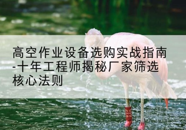 云安剪叉式升降机厂家-高空作业设备选购实战指南-十年工程师揭秘厂家筛选核心法则